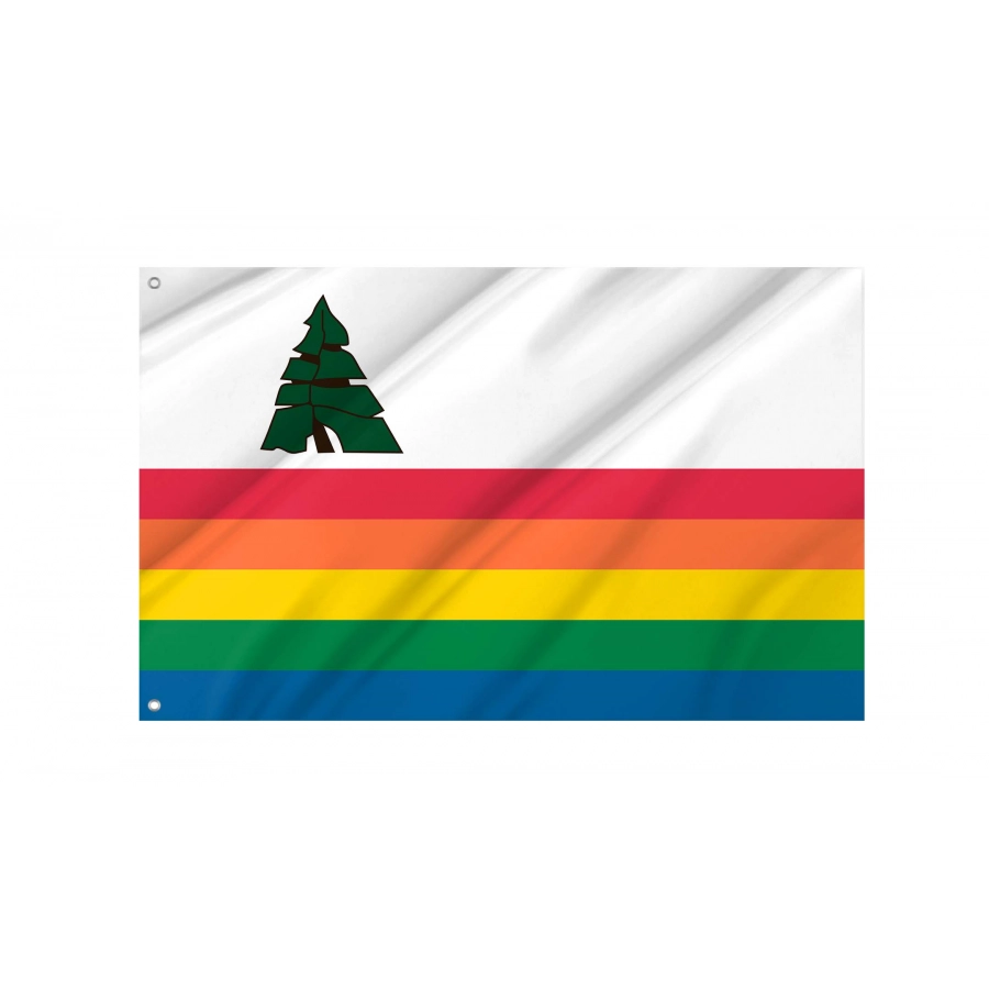 Santa Cruz County, California Flag for Indoor & Outdoor Use, USA154