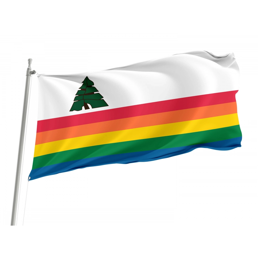 Santa Cruz County, California Flag for Indoor & Outdoor Use, USA154
