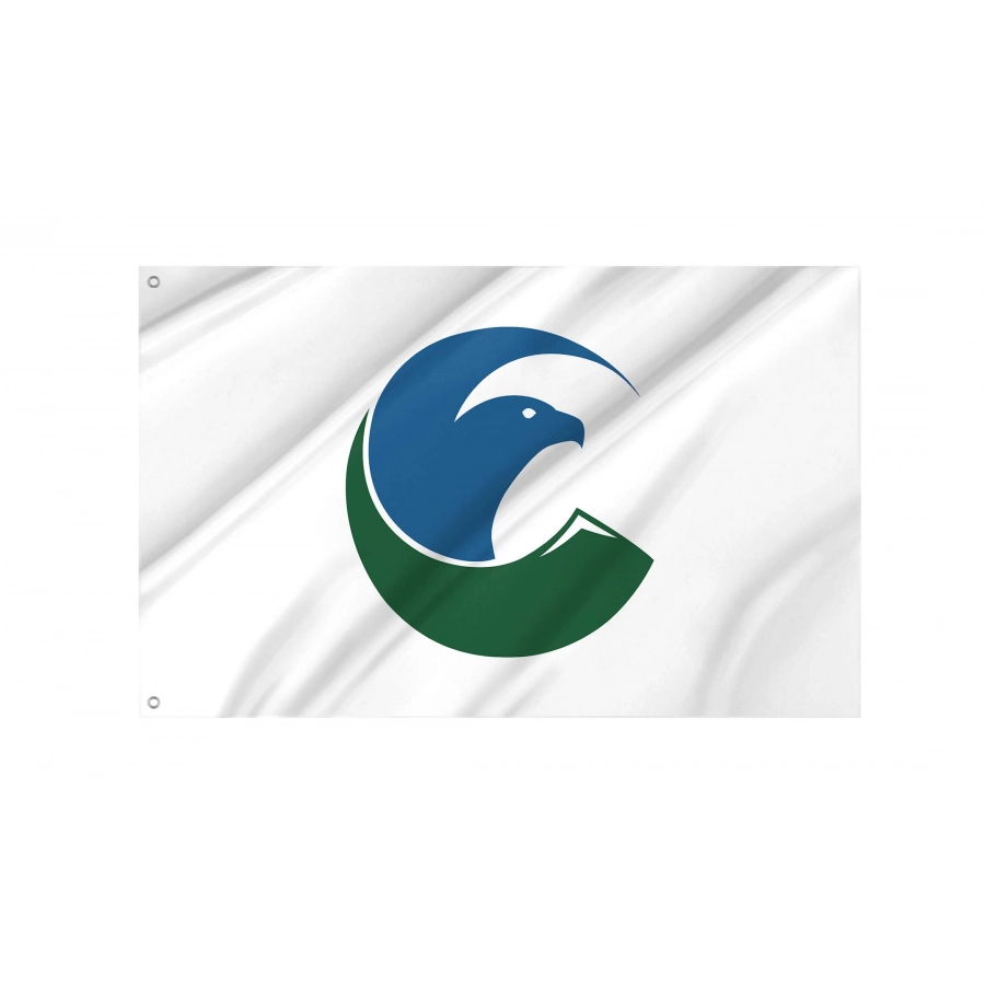Eagle County Flag for Indoor & Outdoor Use, USA162