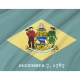 Delaware State Flag for Indoor & Outdoor Use - Imagine 2