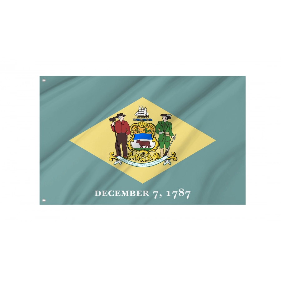 Flag of Delaware State, Patriotic Flags, Unique Design Print, Flags for Indoor & Outdoor Use