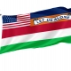 Florida Moseley Flag for Indoor & Outdoor Use - Imagine 1
