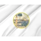 Florida from 1868-1900 Flag for Indoor & Outdoor Use - Imagine 2