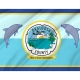 Okaloosa County Flag for Indoor & Outdoor Use - Imagine 2