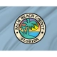 Palm Beach County Flag for Indoor & Outdoor Use - Imagine 2