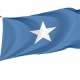 West Florida Flag for Indoor & Outdoor Use - Imagine 1