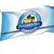Palmetto Bay Flag for Indoor & Outdoor Use - Imagine 1