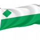 Green Party of the United States Flag for Indoor & Outdoor Use - Imagine 1