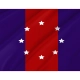 Chicago Heights Flag for Indoor & Outdoor Use - Imagine 2