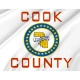 Cook County Flag for Indoor & Outdoor Use - Imagine 2