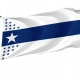 Illinois Centennial Flag for Indoor & Outdoor Use - Imagine 1
