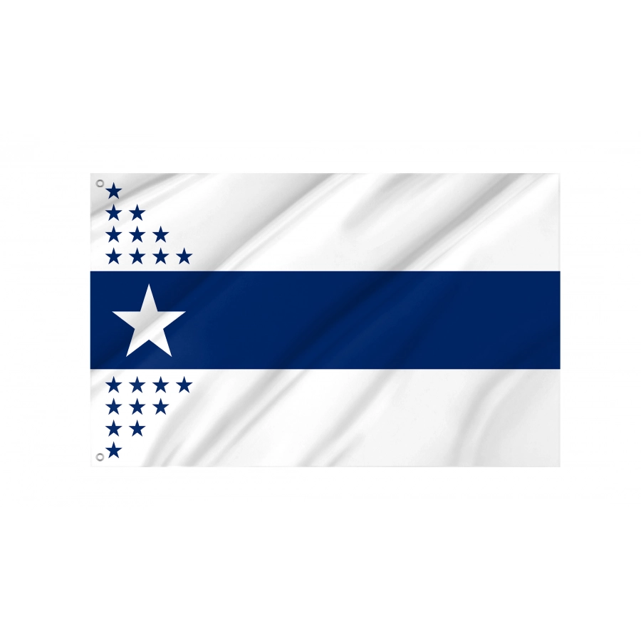 Flag of Illinois Centennial, Patriotic Flags, Unique Design Print, Flags for Indoor & Outdoor Use