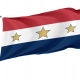 Lansing Flag for Indoor & Outdoor Use - Imagine 1