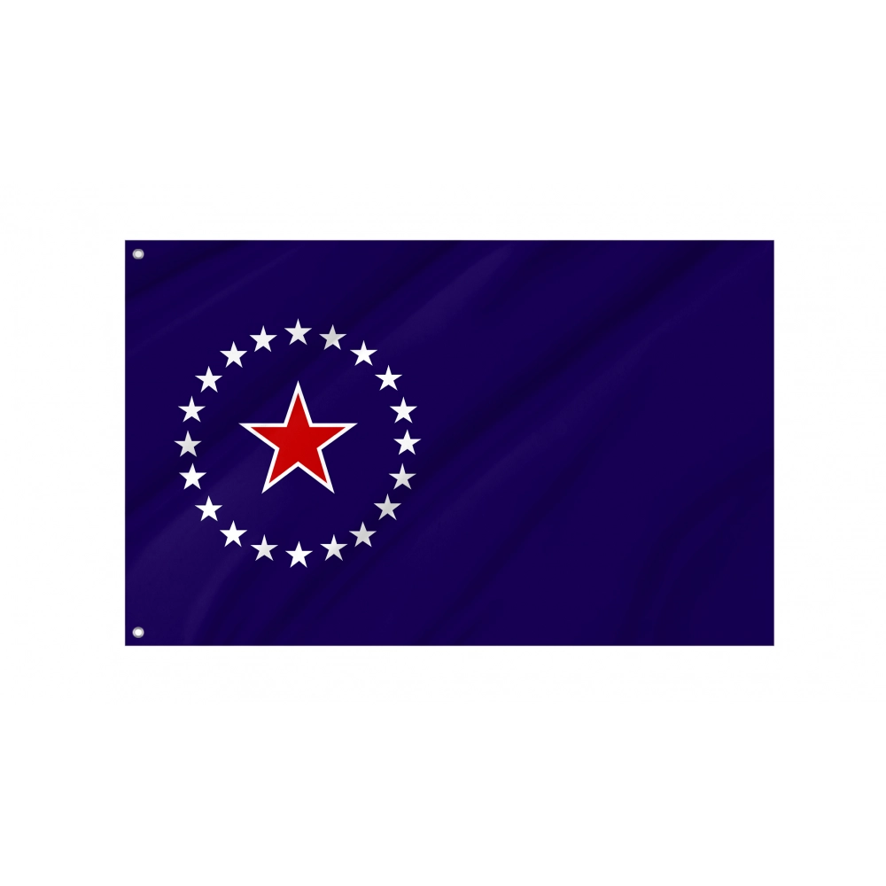 Springfield, Illinois no text Flag for Indoor & Outdoor Use