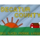 Decatur County Flag for Indoor & Outdoor Use - Imagine 2