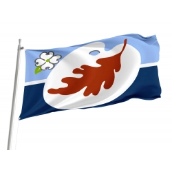Nashville Flag for Indoor & Outdoor Use