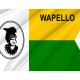 Wapello County Flag for Indoor & Outdoor Use - Imagine 2