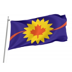 Baldwin City Flag for Indoor & Outdoor Use