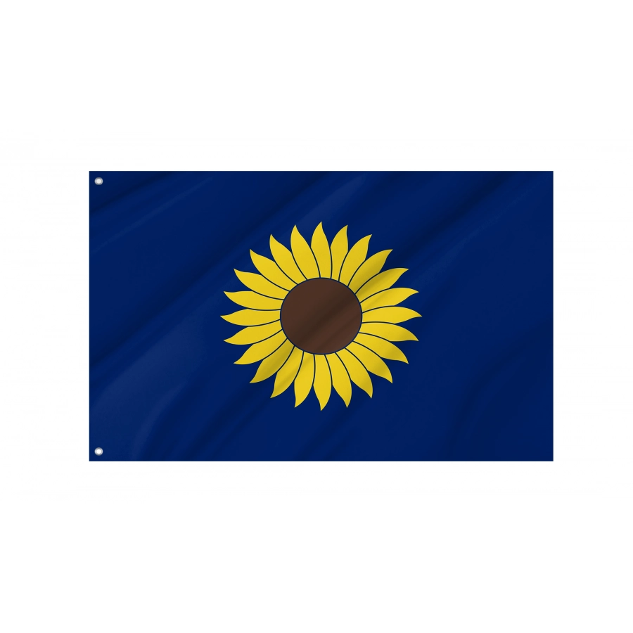 Flag Of Kansas 1925-1927, Patriotic Flags, Unique Design Print, Flags For Indoor & Outdoor Use - High Quality Kansas for Indoor and Outdoor Use