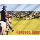 Geneseo, Kansas Flag for Indoor & Outdoor Use - Imagine 2