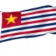 Louisiana February 11, 1861 Flag for Indoor & Outdoor Use - Imagine 1