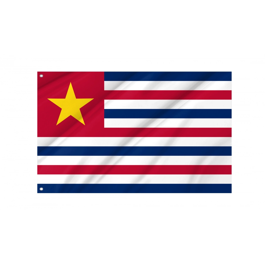 Flag of Louisiana February 11, 1861, Patriotic Flags, Unique Design Print, Flags for Indoor & Outdoor Use