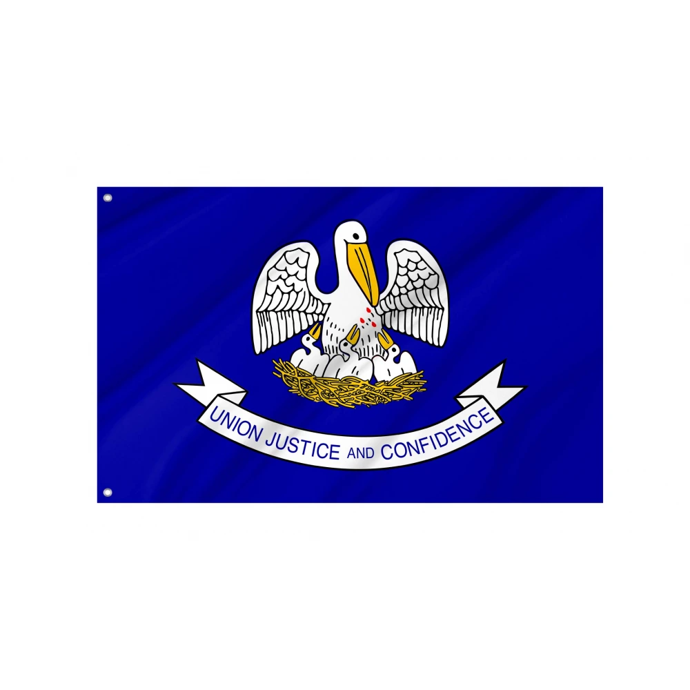 Louisiana 2006-2010 Flag for Indoor & Outdoor Use