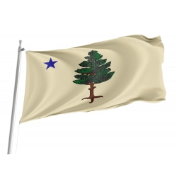 Maine 1901 to 1909 Flag for Indoor & Outdoor Use
