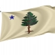 Maine 1901 to 1909 Flag for Indoor & Outdoor Use - Imagine 1