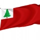 Lincoln County, Maine Flag for Indoor & Outdoor Use - Imagine 1