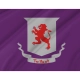 Talbot County Flag for Indoor & Outdoor Use - Imagine 2