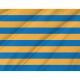Salisbury Flag for Indoor & Outdoor Use - Imagine 2