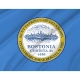 Boston Flag for Indoor & Outdoor Use - Imagine 2