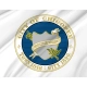 Chicopee Flag for Indoor & Outdoor Use - Imagine 2