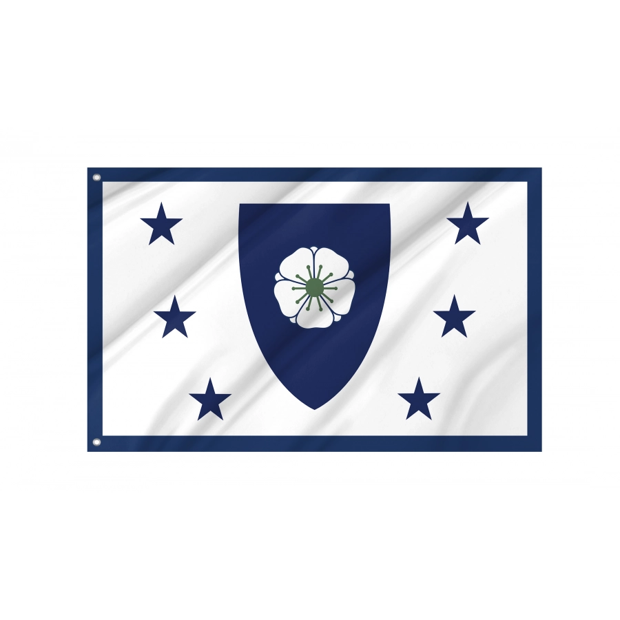 Flag of Erroneous flag of Massachusetts 2022, Patriotic Flags, Unique Design Print, Flags for Indoor & Outdoor Use