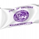 Holyoke City Flag for Indoor & Outdoor Use - Imagine 1
