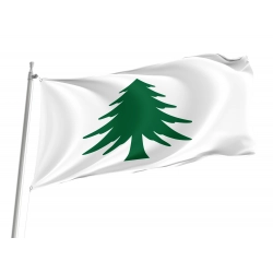 Naval Ensign of Massachusetts Flag for Indoor & Outdoor Use