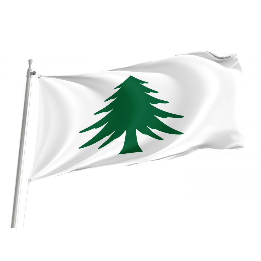 Flag of Naval Ensign of Massachusetts, Patriotic Flags, Unique Design Print, Flags for Indoor & Outdoor Use