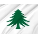 Naval Ensign of Massachusetts Flag for Indoor & Outdoor Use - Imagine 2