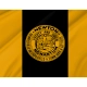 Newton, Massachusetts Flag for Indoor & Outdoor Use - Imagine 2