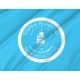 Pembroke Town Flag for Indoor & Outdoor Use - Imagine 2