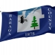 Baraga County Flag for Indoor & Outdoor Use - Imagine 1