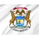 Governor of Michigan Flag for Indoor & Outdoor Use - Imagine 2