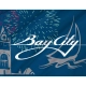 Bay City, Michigan 1981-1996 Flag - Imagine 2
