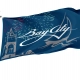 Bay City, Michigan 1981-1996 Flag - Imagine 1