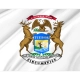 Michigan Governor Flag for Indoor & Outdoor Use - Imagine 2