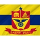 Saint Paul, Minnesota Flag for Indoor & Outdoor Use - Imagine 2