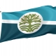 Byhalia Flag for Indoor & Outdoor Use - Imagine 1