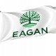 Eagan, Minnesota Flag for Indoor & Outdoor Use - Imagine 1