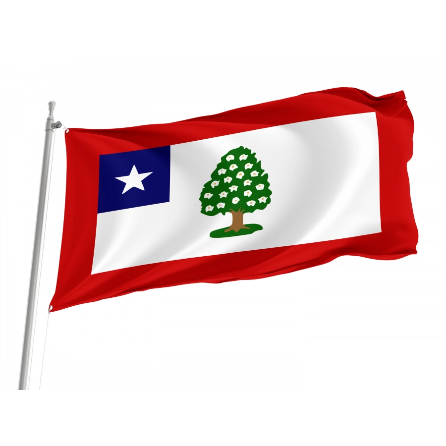 Flag of Mississippi (1861-1865), Patriotic Flags, Unique Design Print, Flags for Indoor & Outdoor Use